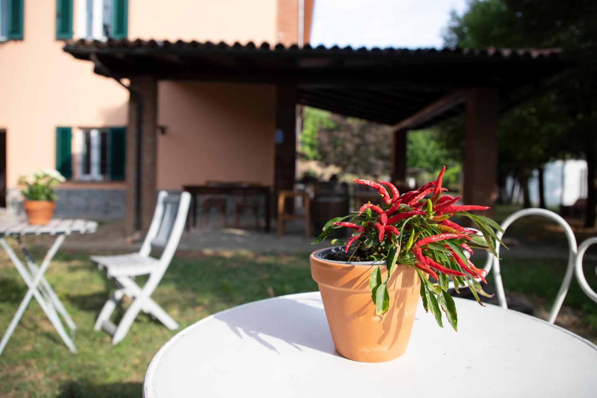 Country Boutique Paradiso Valmadonna Dış mekan fotoğraf